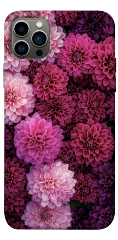 Чохол на Apple iPhone 12 Pro (6.1") Garden1 фото 1 з 1