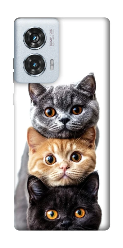 Чохол на Motorola Edge 50 Fusion Гарні котики фото 1 з 1