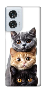 Чохол на Motorola Edge 50 Fusion Гарні котики фото 1 з 1