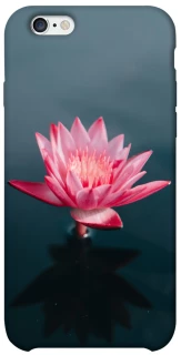 Чохол на Apple iPhone 6/6s (4.7") Лотос фото 1 з 1
