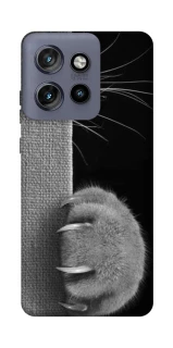 Чехол на Motorola Edge 50 Neo Spy Cat фото 1 из 1