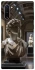 Чехол на Samsung Galaxy Note 10 statue фото 1 из 1