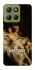 Чохол на Motorola Moto G15 4G Not Today фото 1 з 1