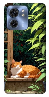 Чохол на Motorola Edge 40 red cat фото 1 з 1