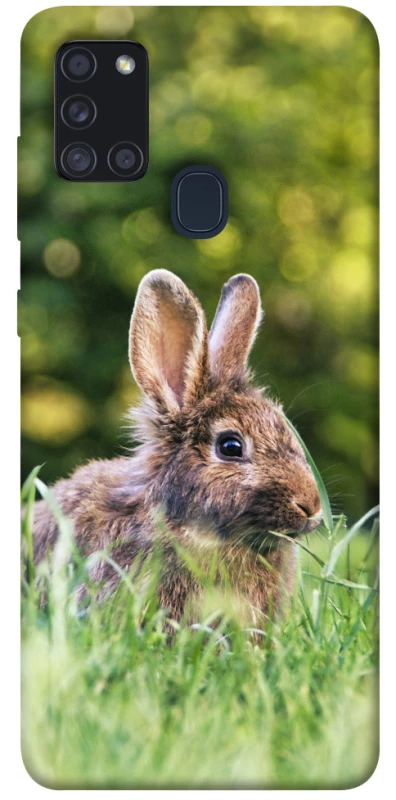 Чехол на Samsung Galaxy A21s Кролики фото 1 из 1