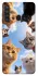 Чехол на Samsung Galaxy A21 Cats фото 1 из 1