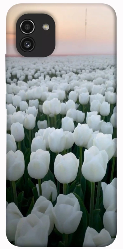 Чохол на Samsung Galaxy A03 Flowers v1 фото 1 з 1