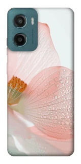 Чохол на Motorola Moto G06 Flowers zon фото 1 Чохол на Motorola Moto G06 Flowers zon фото 1 з 1