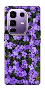 Чохол на Infinix Note 50 Pro+ Flowers v17 фото 1 з 1