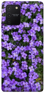 Чохол на Samsung Galaxy S10 Lite Flowers v17 фото 1 з 1