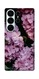 Чохол на Samsung Galaxy S26 Рожеві гартензії фото 1 з 1