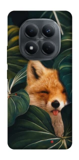 Чехол на Xiaomi Redmi Note 15 Pro 4G Fox фото 1 из 1