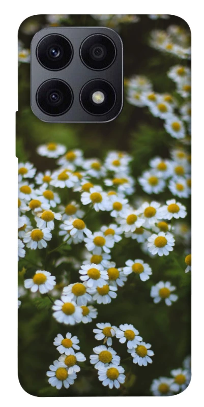 Чехол на Huawei Honor X8a Ромашки v13 фото 1 из 1