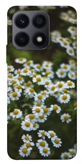 Чехол на Huawei Honor X8a Ромашки v13 фото 1 из 1