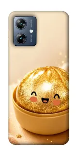 Чохол на Motorola Moto G54 Power Dumpling ver.6 фото 1 з 1