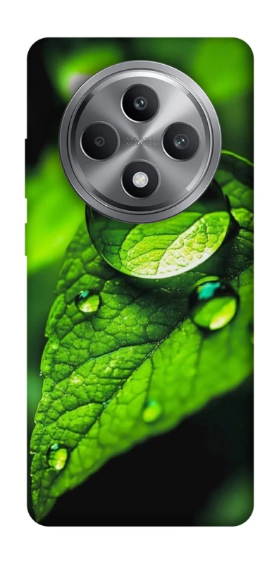 Чохол на Oppo Reno 12 F 4G Flowers v16 фото 1 з 1