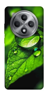 Чохол на Oppo Reno 12 F 4G Flowers v16 фото 1 з 1