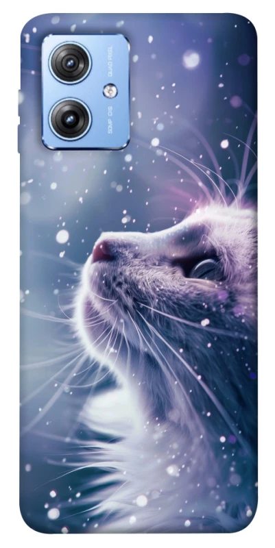 Чехол на Motorola Moto G84 Snow cat фото 1 из 1