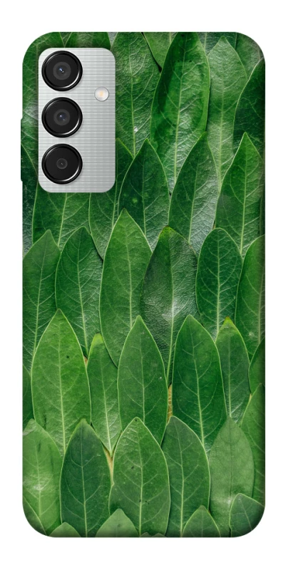 Чохол на Samsung Galaxy M15 5G Листя фото 1 з 1