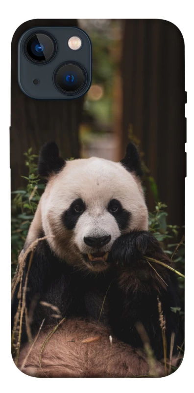 Чохол на Apple iPhone 13 (6.1") Панда фото 1 з 1