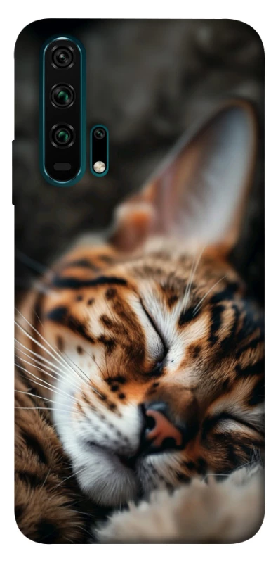 Чехол на Huawei Honor 20 Pro Cat paws фото 1 из 1