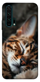 Чохол на Huawei Honor 20 Pro Cat paws фото 1 з 1