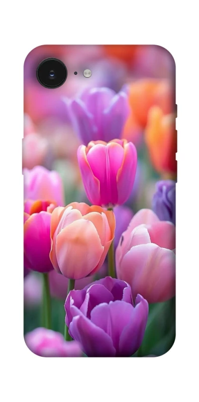 Чохол на Apple iPhone 16e (6.1") Тюльпанове поле фото 1 з 1