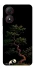 Чохол на ZTE Blade A34 4G Panda and tree фото 1 з 1