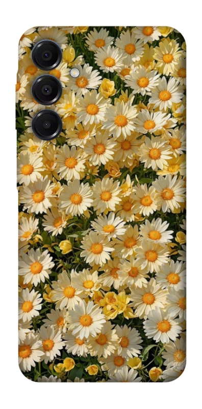Чохол на Samsung Galaxy A16 4G/5G Camomile фото 1 з 1