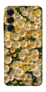 Чохол на Samsung Galaxy A16 4G/5G Camomile фото 1 з 1