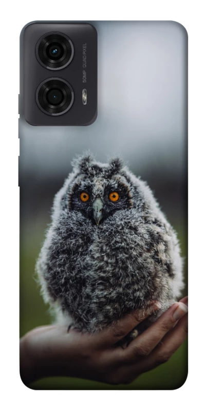 Чохол на Motorola Moto G24 Совеня фото 1 з 1