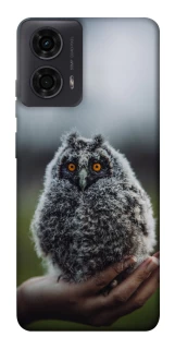 Чохол на Motorola Moto G24 Совеня фото 1 з 1