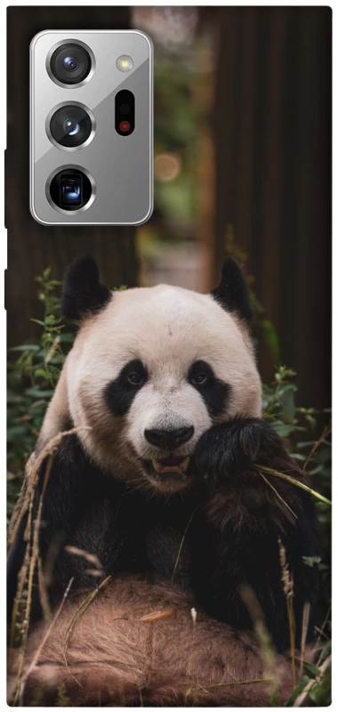 Чехол на Samsung Galaxy Note 20 Ultra Панда фото 1 из 1