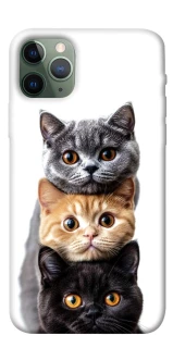 Чохол на Apple iPhone 11 Pro (5.8") Гарні котики фото 1 з 1