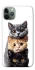 Чохол на Apple iPhone 11 Pro (5.8") Гарні котики фото 1 з 1
