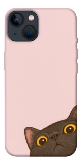 Чохол на Apple iPhone 13 (6.1") Peeping cat фото 1 з 1