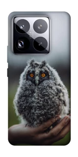 Чехол на Xiaomi 15 Pro Совёнок фото 1 из 1