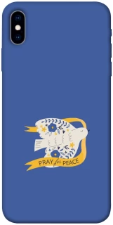 Чохол на Apple iPhone X (5.8") Ластівка фото 1 з 1