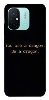 Чохол на Xiaomi Redmi 12C / Poco C55 House of the Dragon ver.9 фото 1 з 1