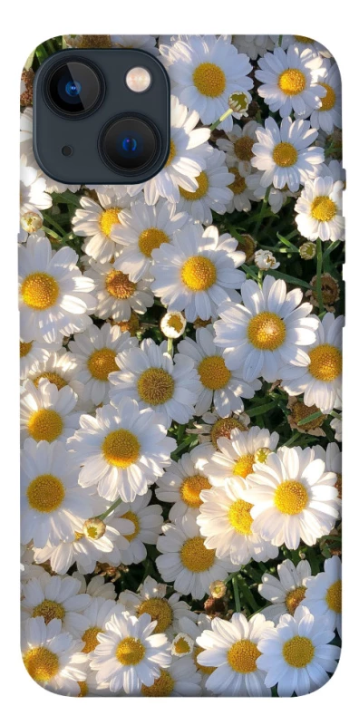 Чохол на Apple iPhone 13 (6.1") Поле ромашок фото 1 з 1