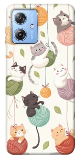 Чохол на Motorola Moto G84 Funny Kittens фото 1 з 1