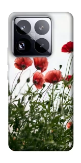 Чохол на Xiaomi 15 Pro Поле маків фото 1 з 1
