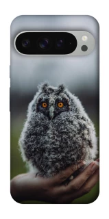 Чохол на Google Pixel 9 Pro XL Совеня фото 1 з 1