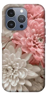 Чохол на Apple iPhone 16 Pro Max Spring flow фото 1 з 1