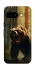 Чехол на Google Pixel 9a Bear V3 фото 1 из 1