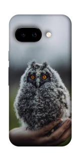 Чехол на Google Pixel 9a Совёнок фото 1 Чехол на Google Pixel 9a Совёнок фото 1 из 1