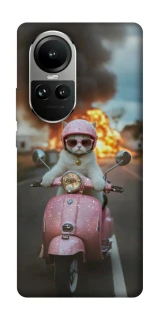 Чехол на Oppo Reno 10 Exploding Kittens ver.3 фото 1 из 2