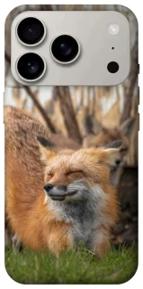 Чехол на Apple iPhone 17 Pro (6.3") Лиса фото 1 из 1
