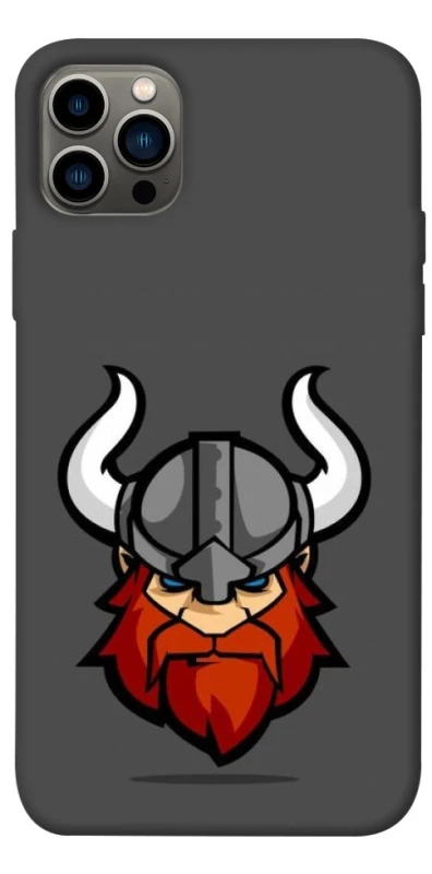 Чохол на Apple iPhone 12 Pro (6.1") Viking v3 фото 1 з 1
