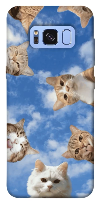 Чохол на Samsung G950 Galaxy S8 Сats фото 1 з 1